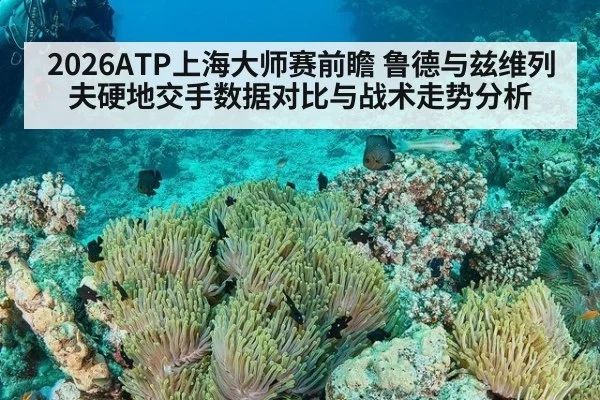 2026ATP上海大师赛前瞻 鲁德与兹维列夫硬地交手数据对比与战术走势分析
